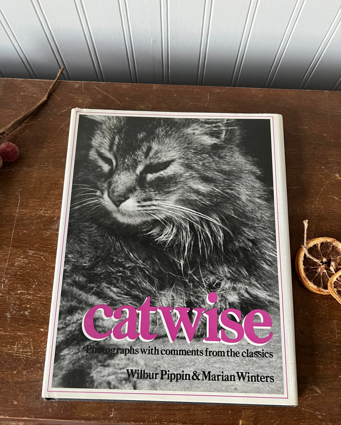 Cat lover gift