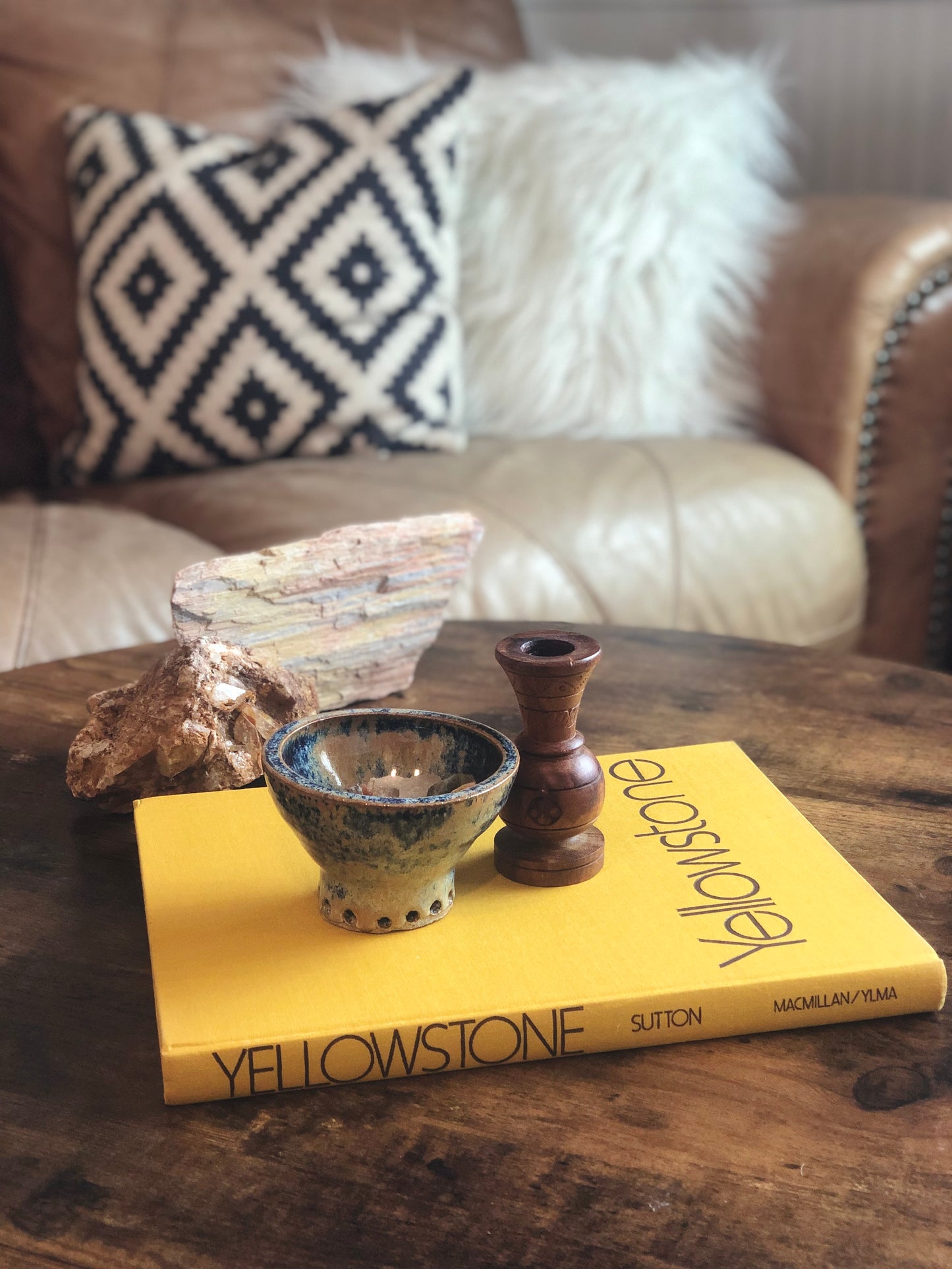 Yellowstone book
