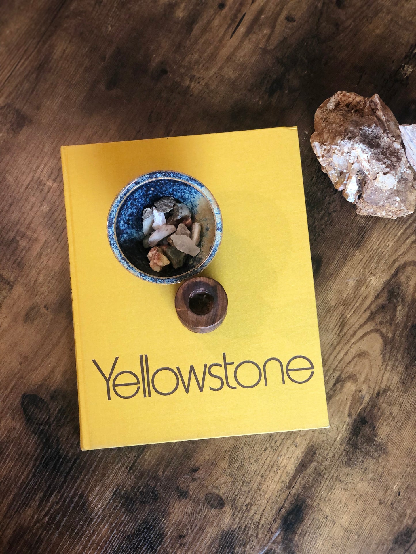 Yellowstone book
