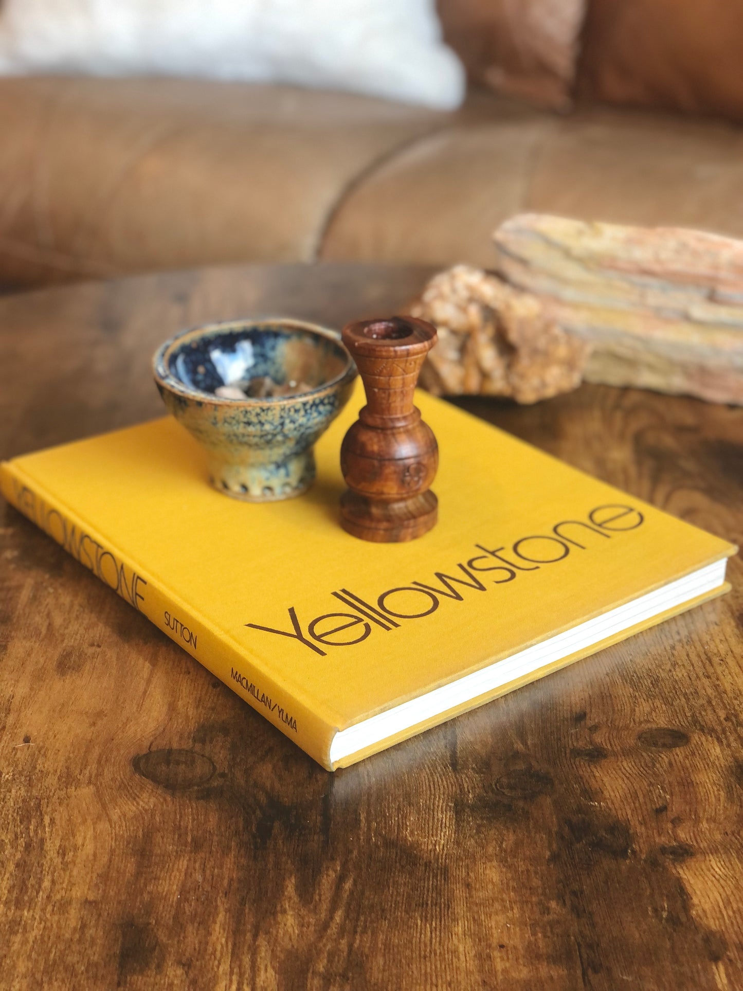 Yellowstone book