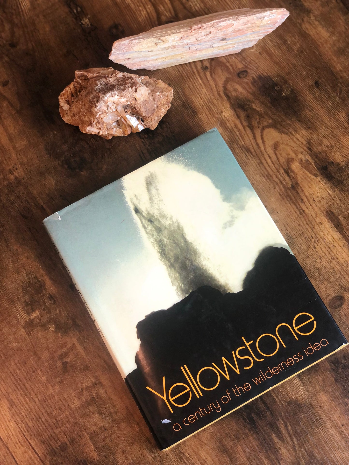 Yellowstone book