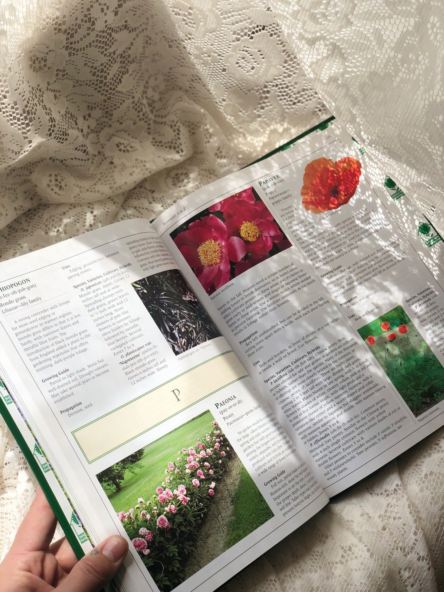 Gardening book.