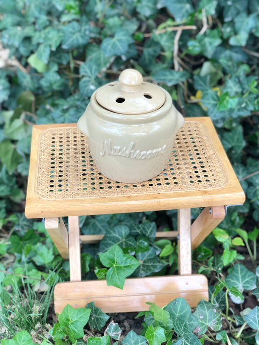 Ceramic mushroom jar w/lid