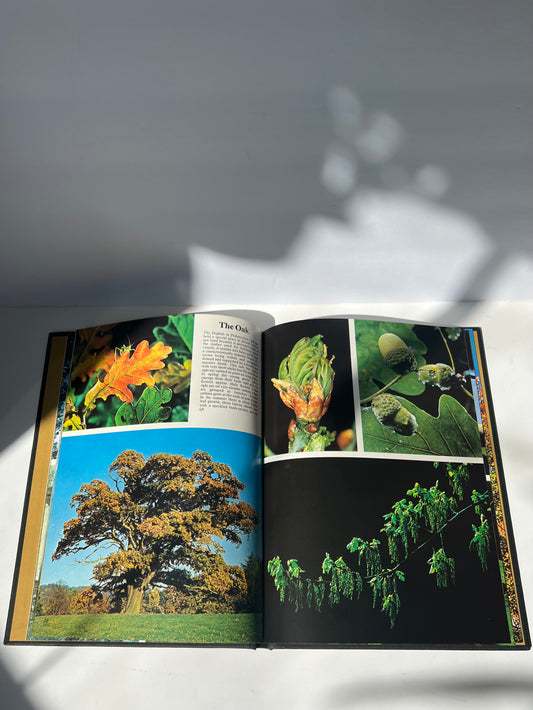 Vintage tree encyclopedia