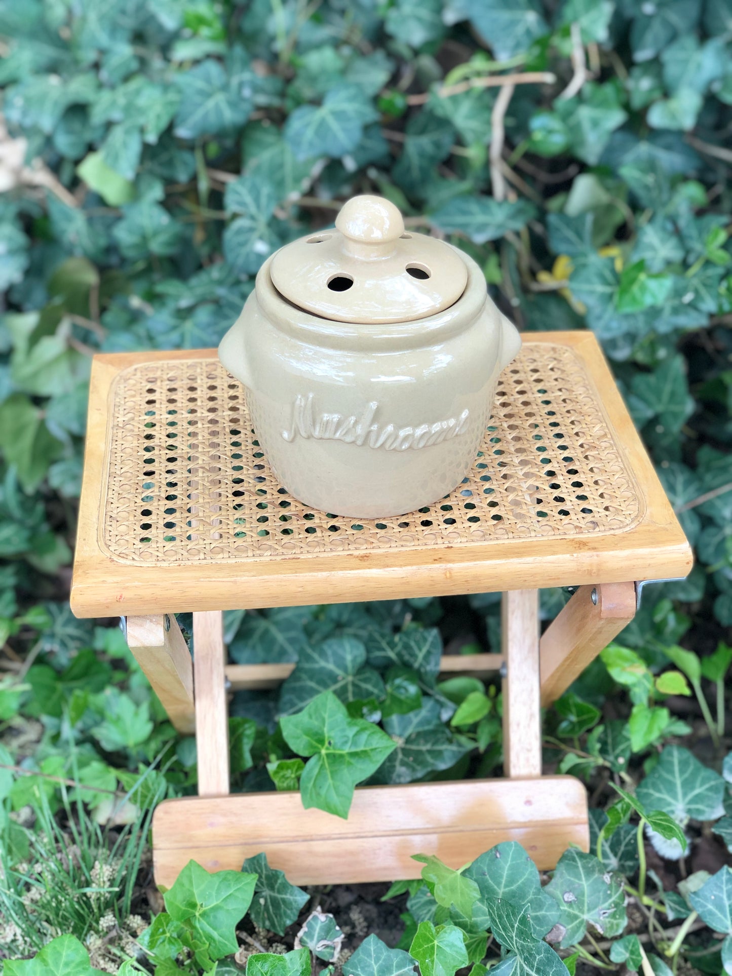 Ceramic mushroom jar w/lid