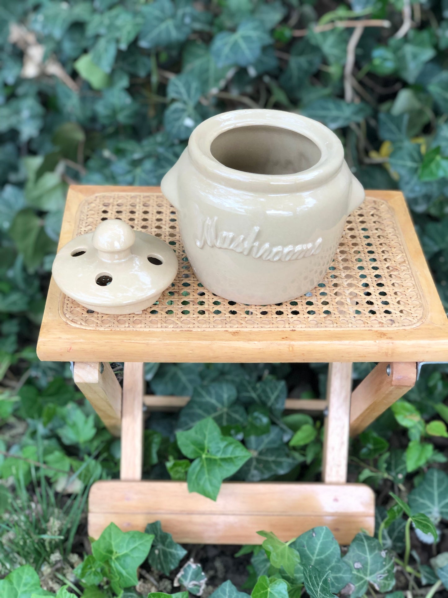 Ceramic mushroom jar w/lid